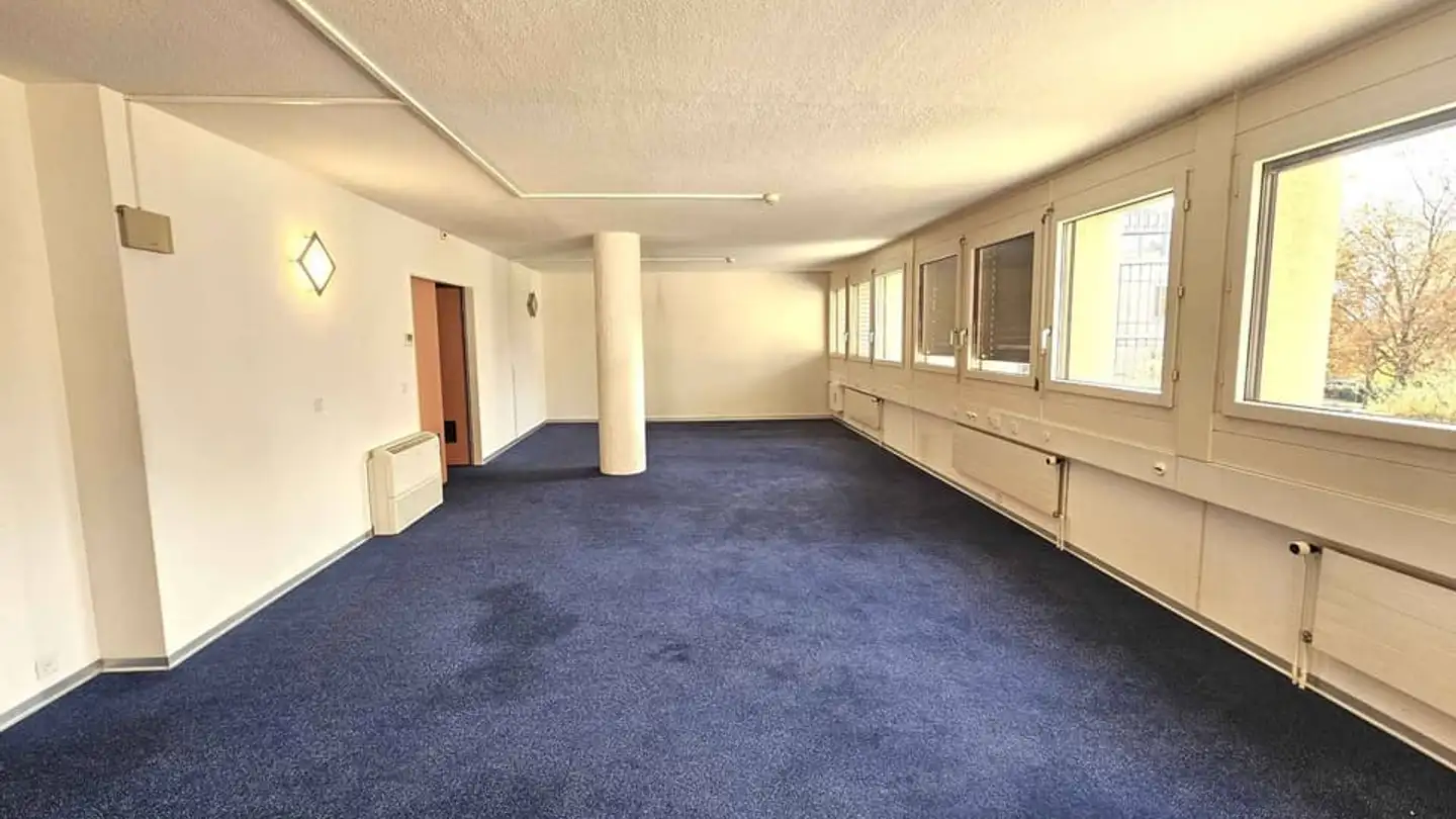 Commercial for rent - 1020 Renens VD