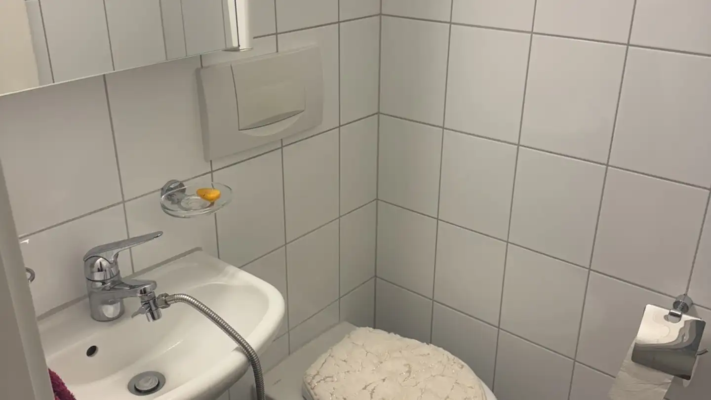 Apartment for rent - Eichelackerstrasse, 8106 Adlikon b. Regensdorf