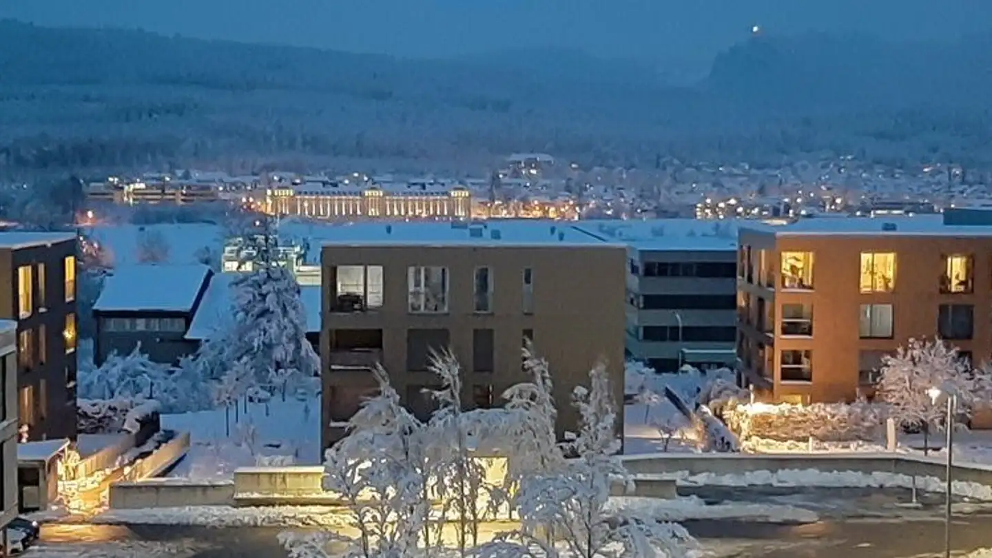 Appartamento in vendita - Bornwaldstrasse 3, 4600 Olten - Photo 4