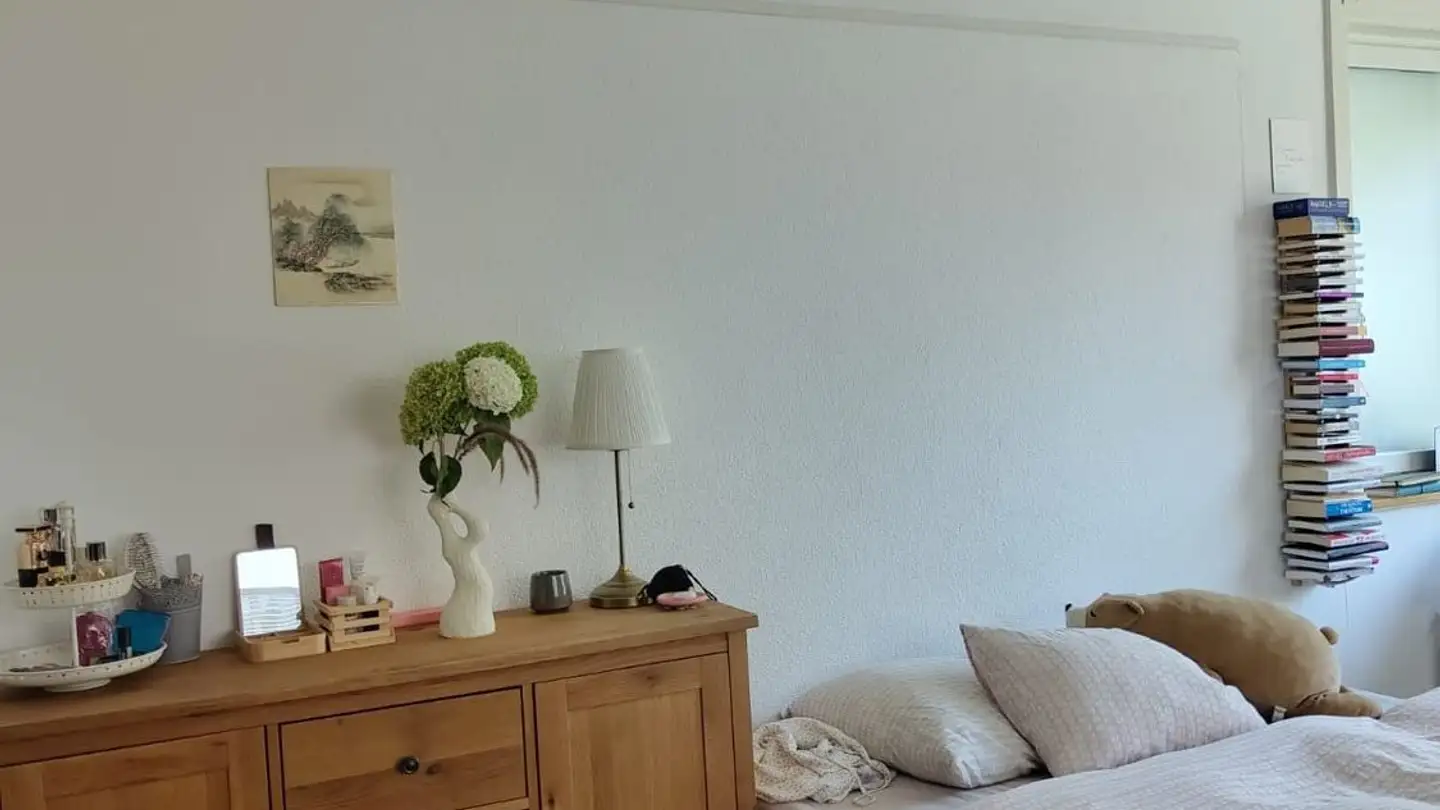 Stanza singola in affitto - Aehrenweg 3, 8050 Zürich
