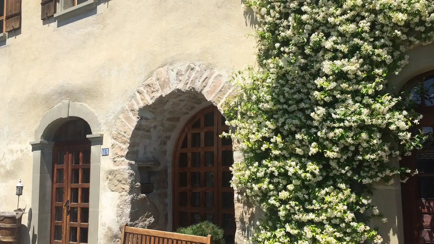 Reihenhaus mieten - 1091 Grandvaux - Foto 3