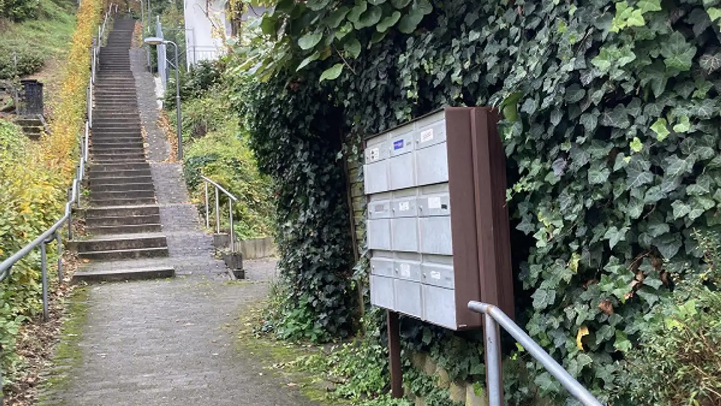 Single house for sale - Erzenbergstrasse 96, 4410 Liestal - Photo 2