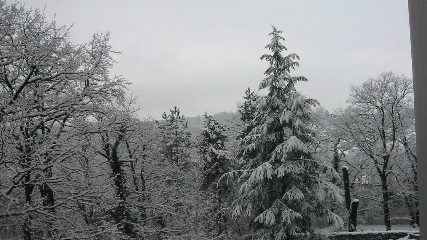 Appartamento in vendita - Avenue Du Lignon 9, 1219 Le Lignon - Photo 3