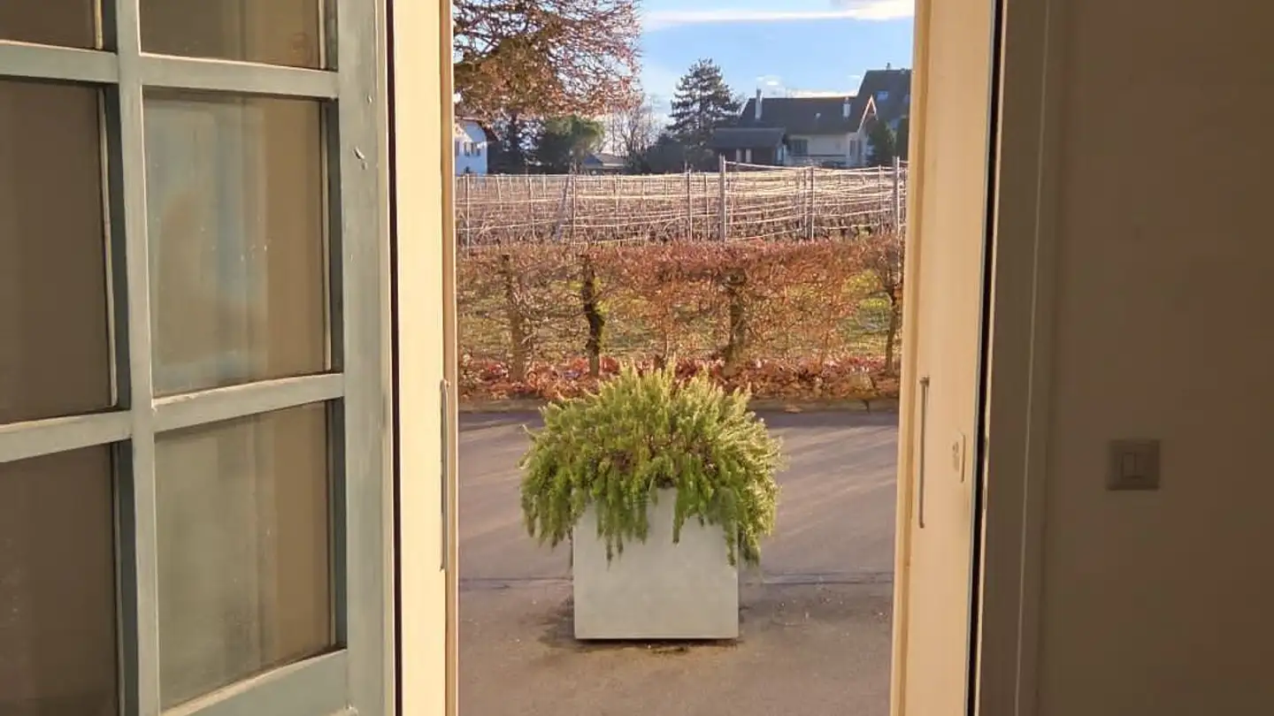 Studio for rent - 1267 Vich