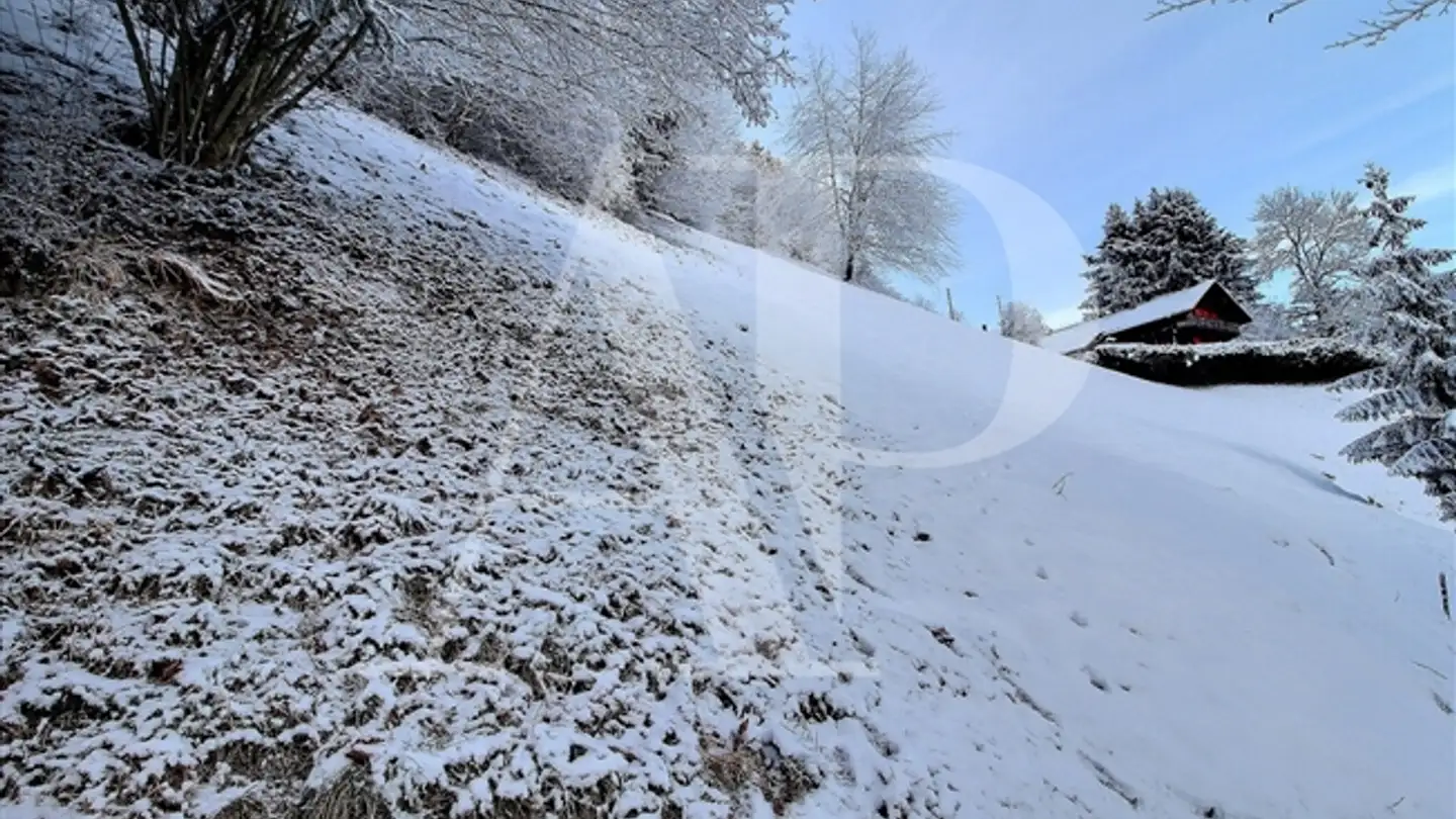 Apartment for sale - 1874 Champéry