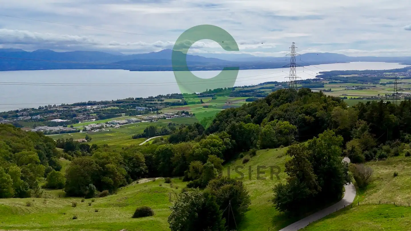 Penthouse kaufen - 1186 Essertines-sur-Rolle - Foto 4