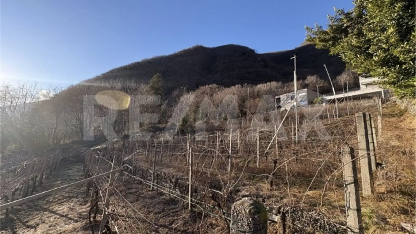 Apartment for sale - 6533 Lumino