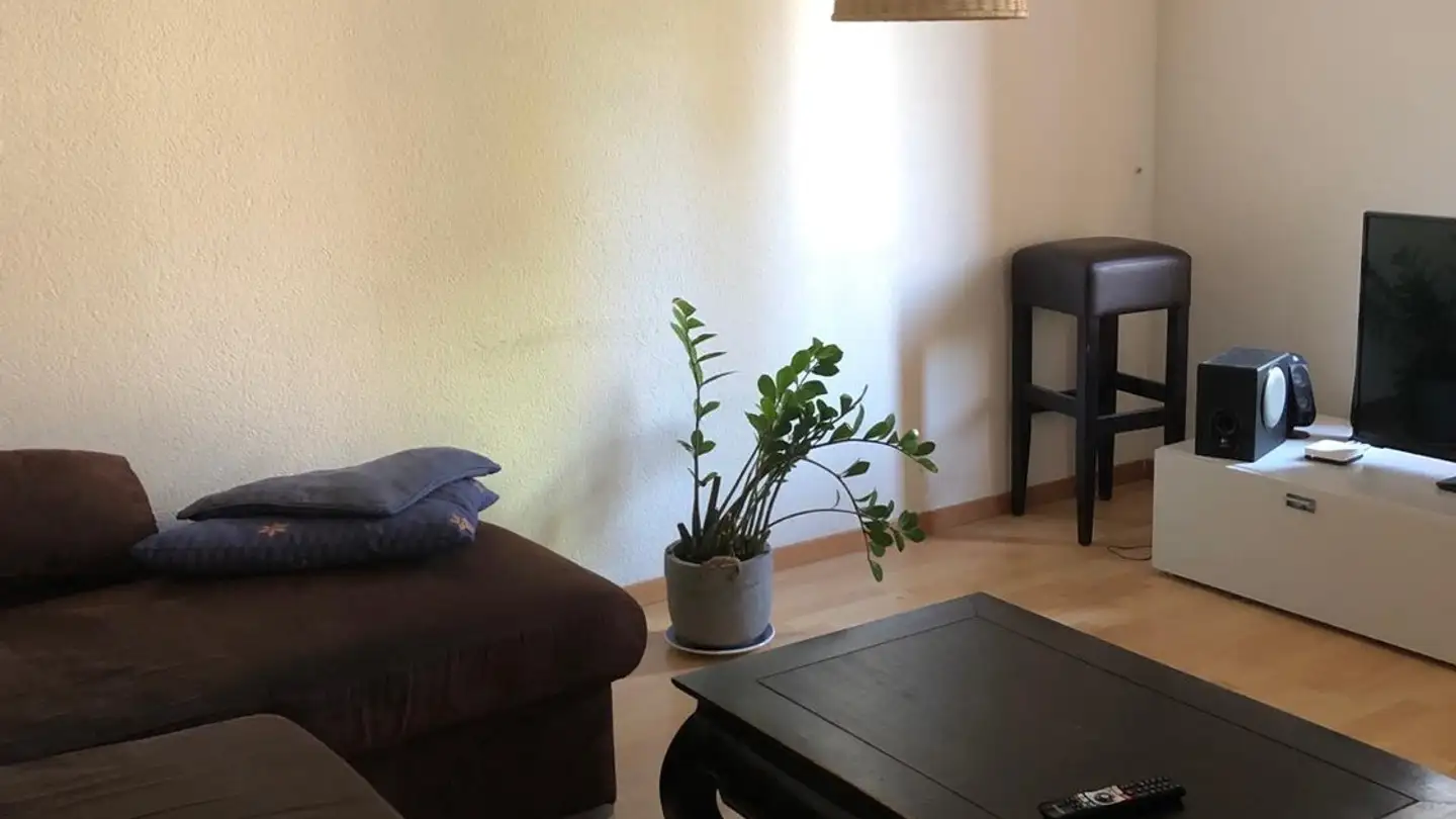 Apartment for rent - 8810 Horgen - Photo 2