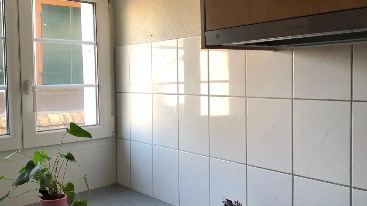 Apartment for rent - 8810 Horgen - Photo 4