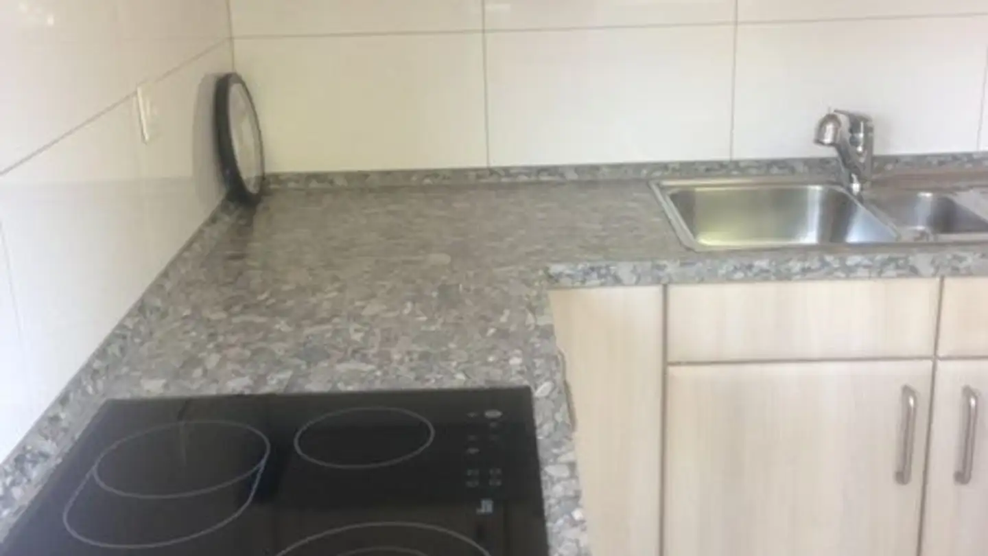 Casa singola in affitto - 8447 Dachsen - Photo 4