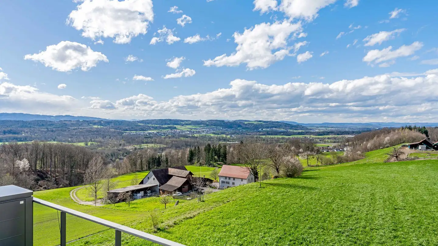 Penthouse for sale - Wolfeggstrasse 5, 8967 Widen