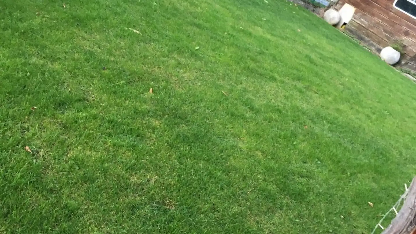 Casa singola in affitto - Rue Vers-La-Gare 5, 1852 Roche VD - Photo 2