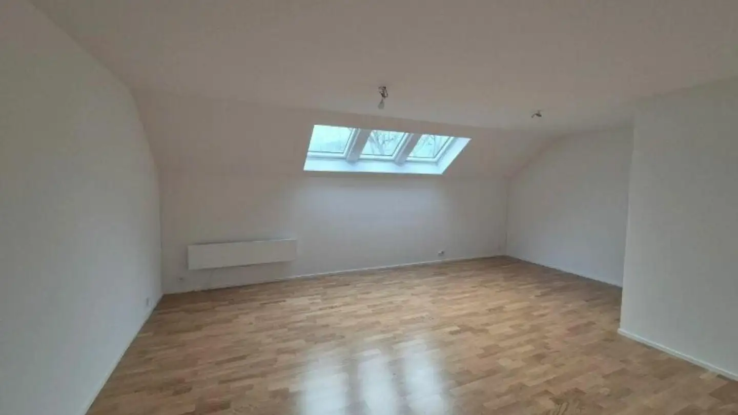 Attic flat for rent - Hechlerstrasse 3, 8265 Mammern - Photo 2