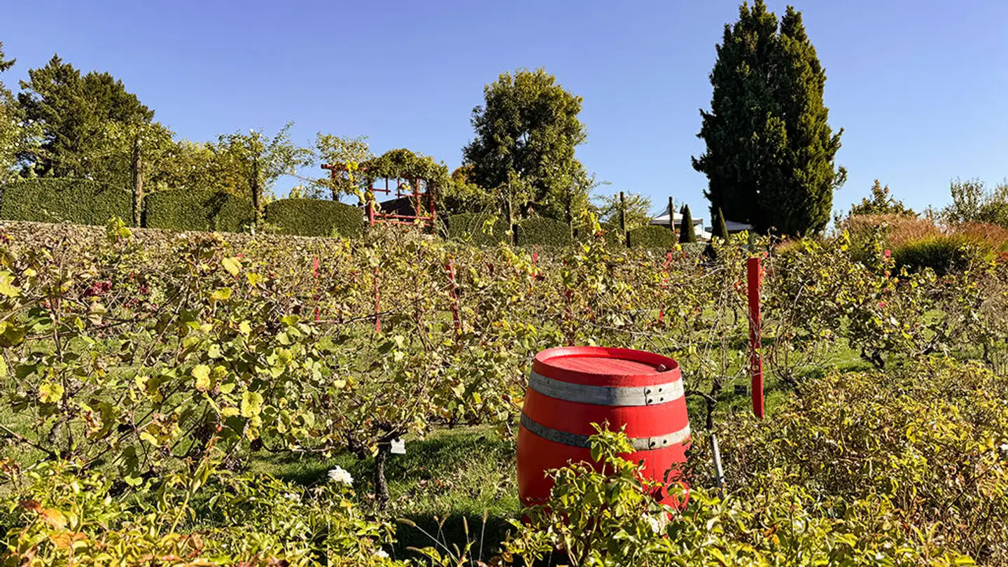 Mehrfamilienhaus kaufen - 8004 Zürich - Foto 2