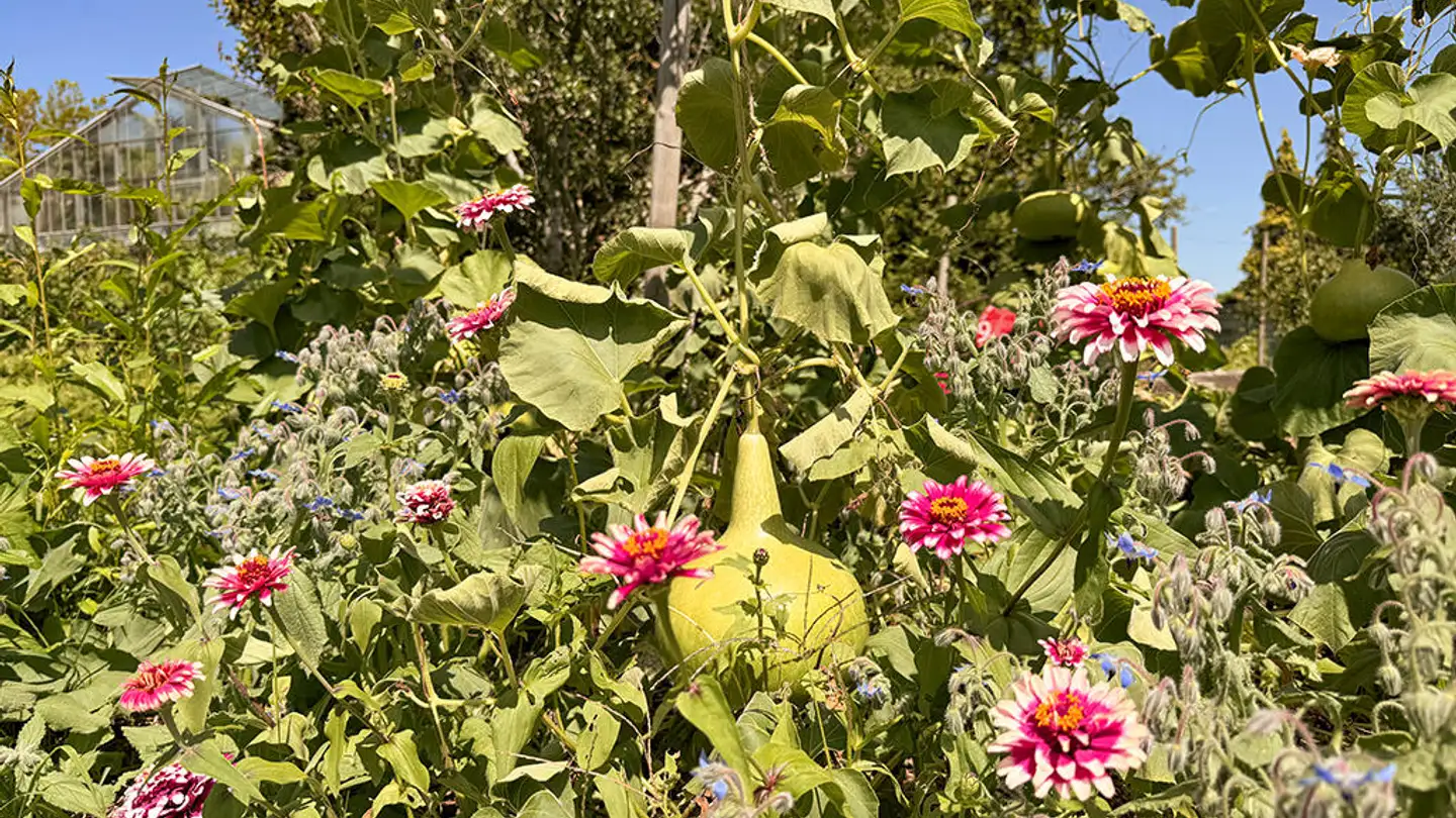 Mehrfamilienhaus kaufen - 8004 Zürich - Foto 3