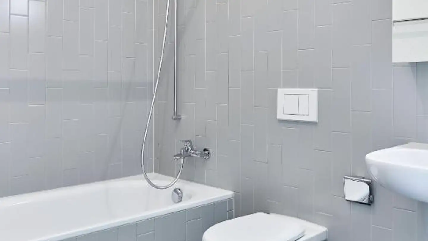 Wohnung mieten - Freilagerstrasse 53, 8047 Zürich - Foto 4