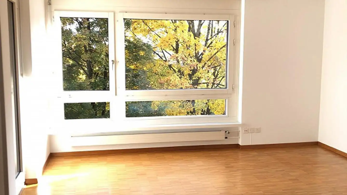Appartement à louer - Römerstrasse 148, 8404 Winterthur - Photo 2