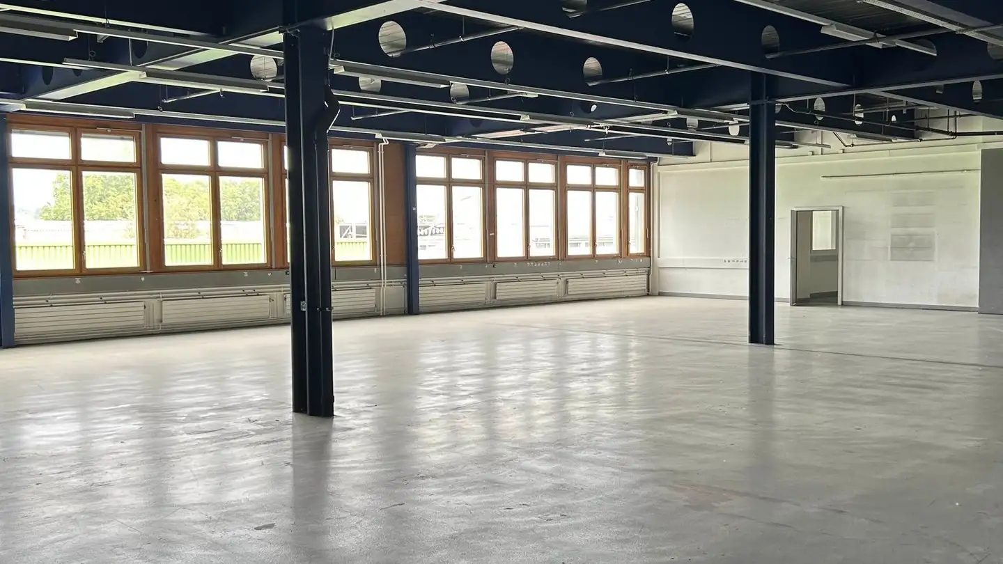 Industrial property for rent - 1227 Carouge GE - Photo 3