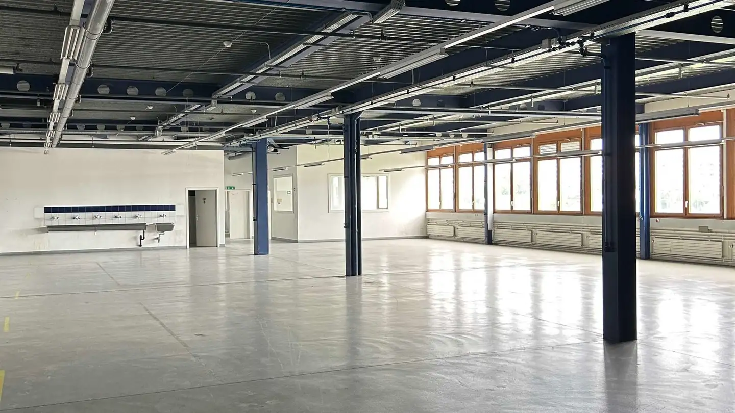 Industrial property for rent - 1227 Carouge GE - Photo 4