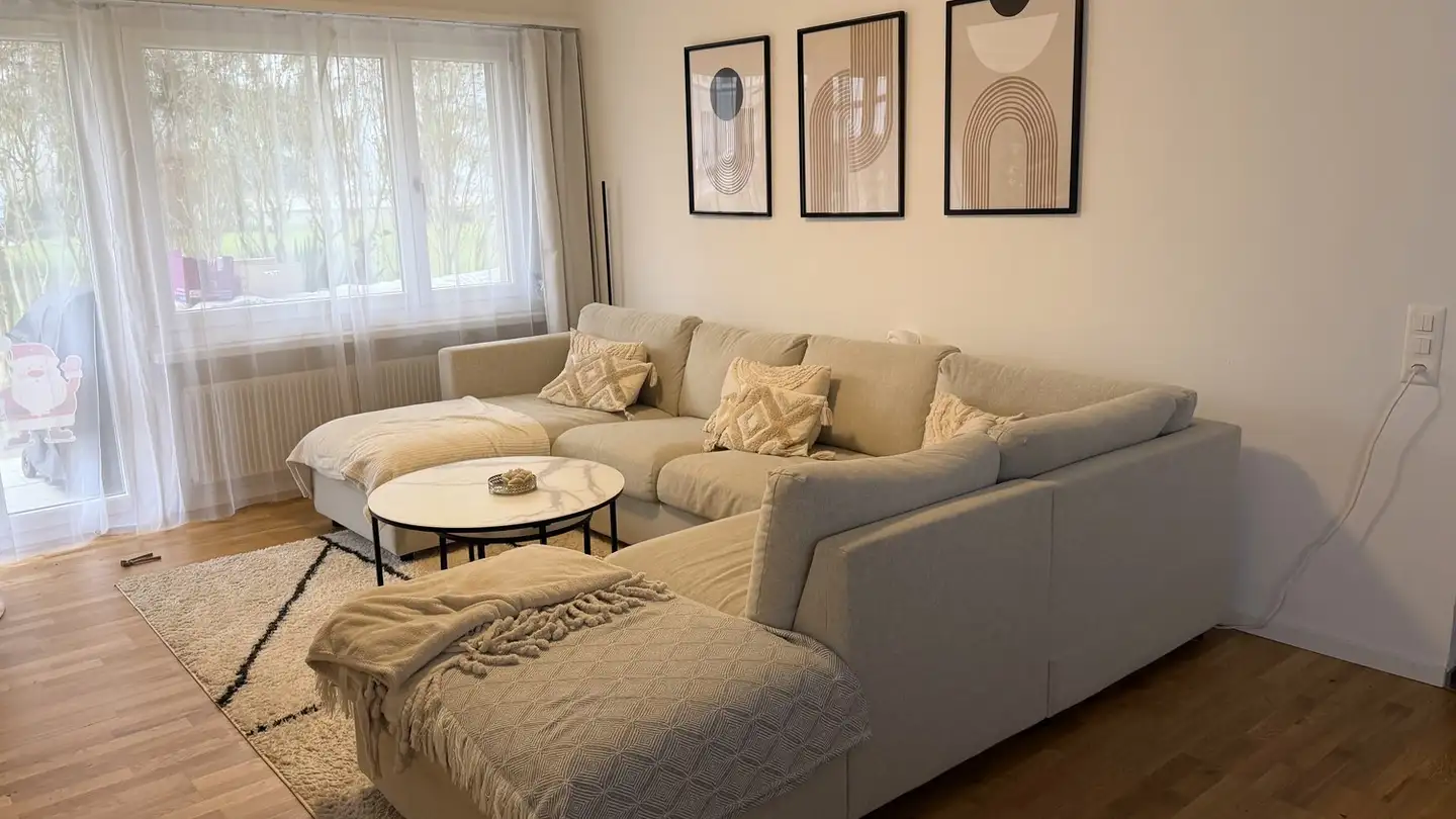 Appartamento in affitto - 5507 Mellingen - Foto 3