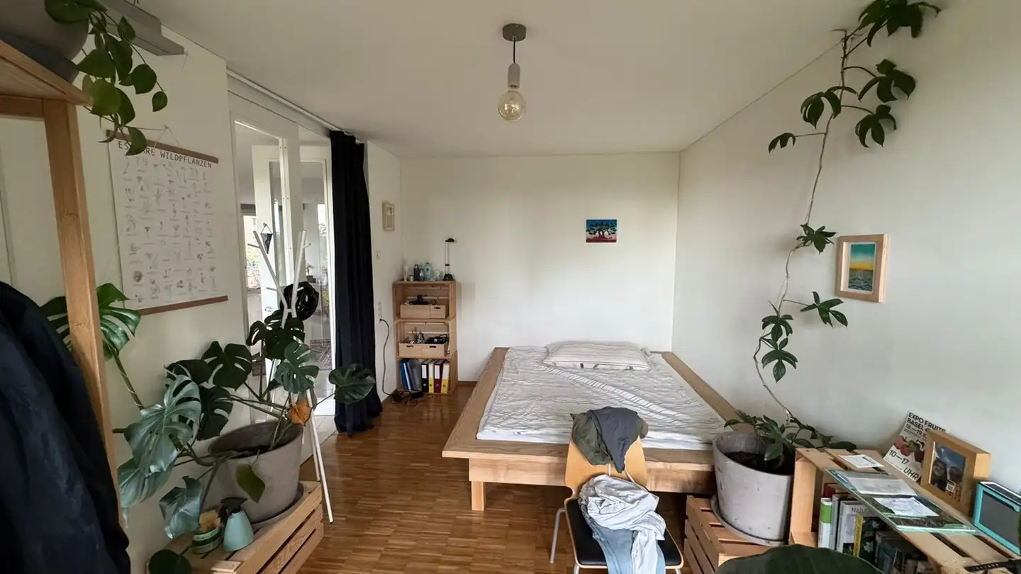 Chambre à louer - Käferholzstrasse 54, 8057 Zürich - Photo 2