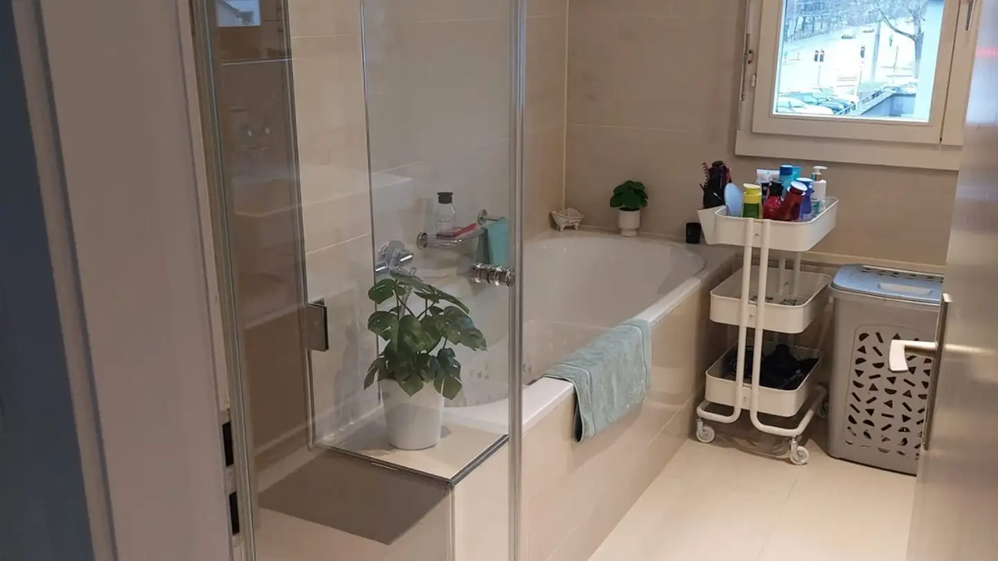 Appartamento in affitto - Schaffhauserstrasse 148, 8400 Winterthur - Foto 2