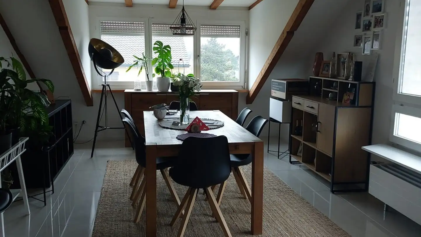 Appartement à louer - Schaffhauserstrasse 148, 8400 Winterthur