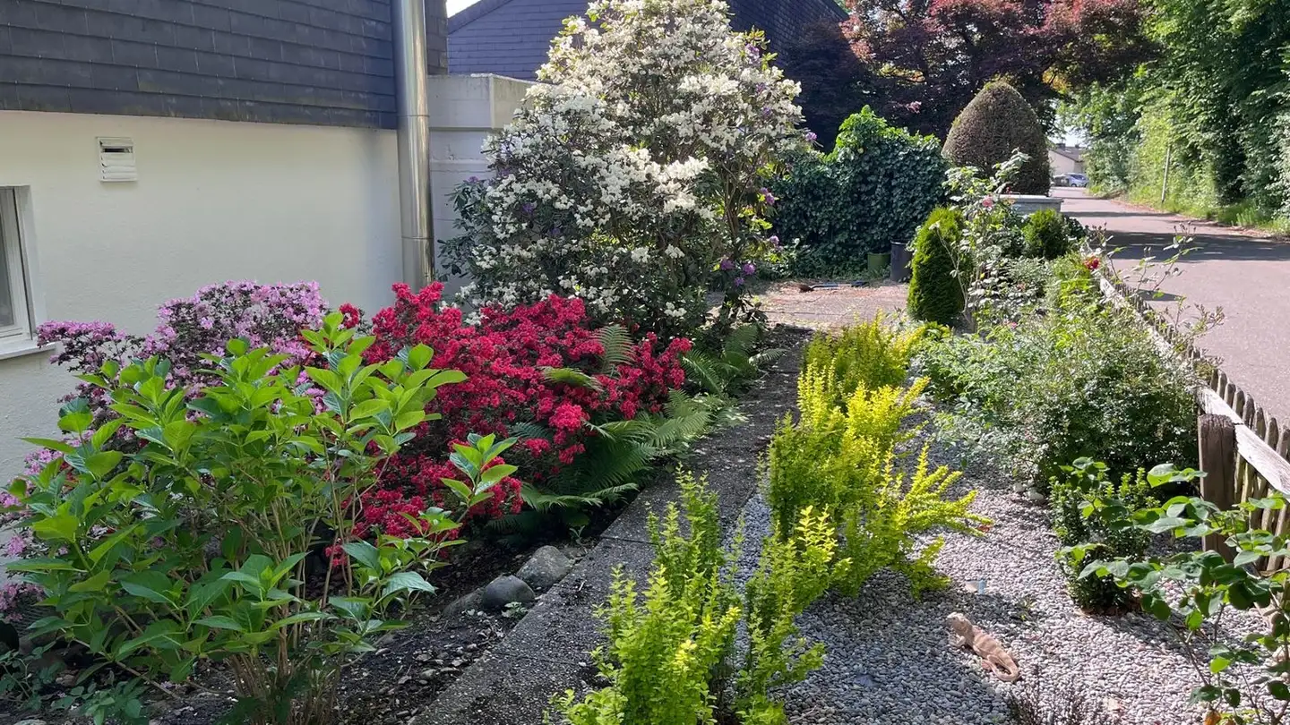 Appartamento in affitto - 8610 Uster - Foto 2