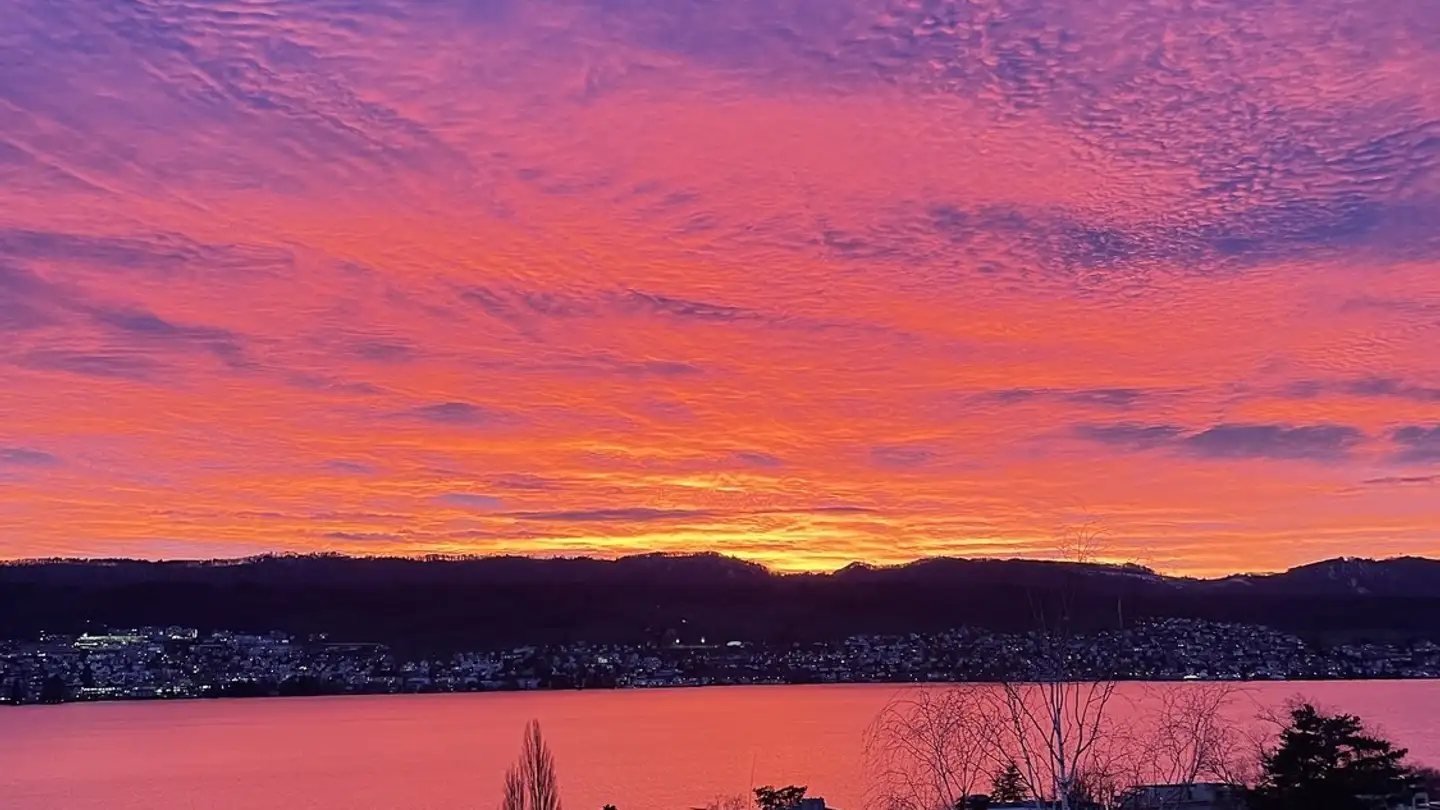 Chambre à louer - 8706 Meilen - Photo 2