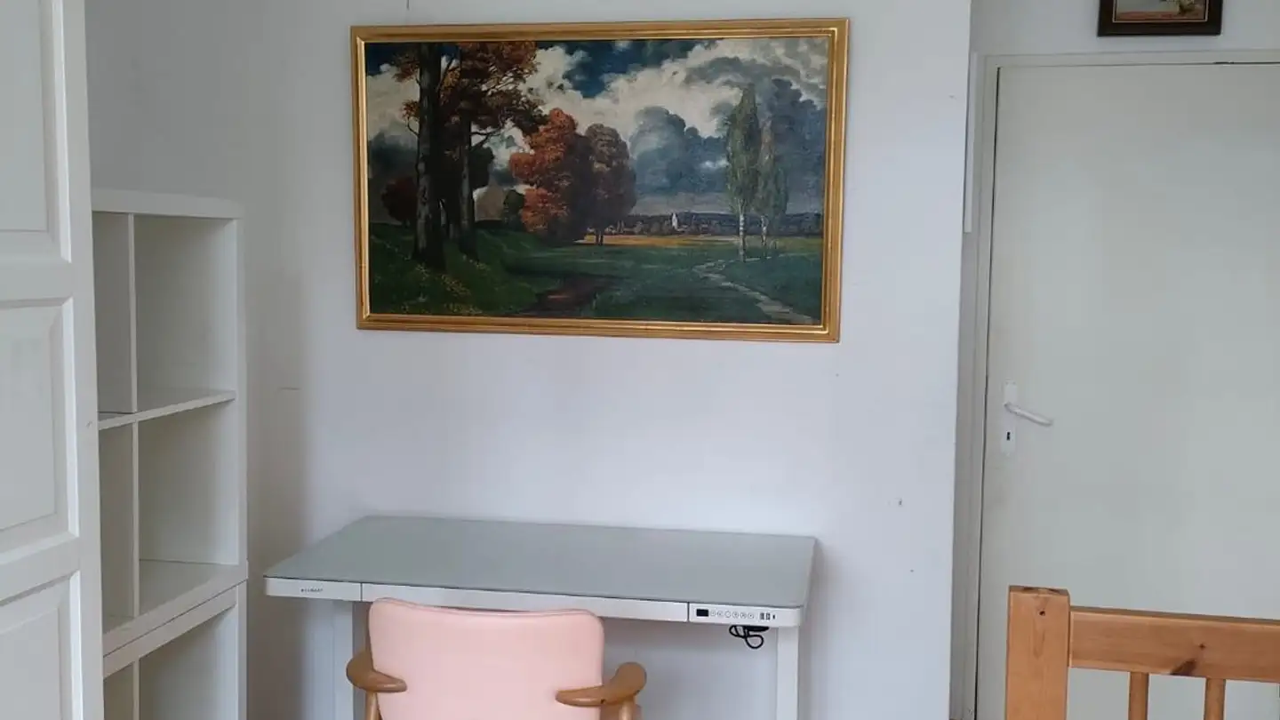 Single room for rent - Hirzbodenpark, 4052 Basel - Photo 3