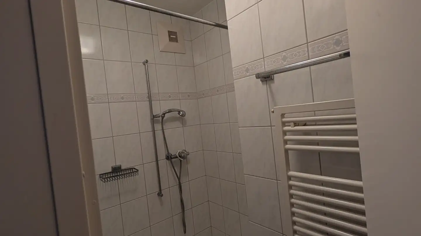 Appartamento in affitto - 8602 Wangen b. Dübendorf - Foto 3