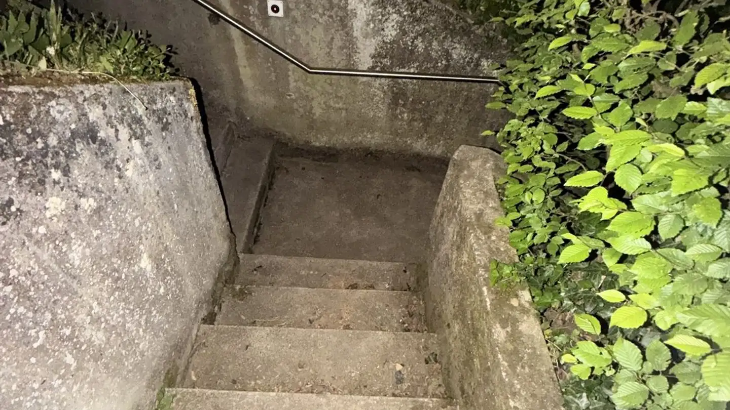 Einfamilienhaus mieten - 8200 Schaffhausen - Foto 3