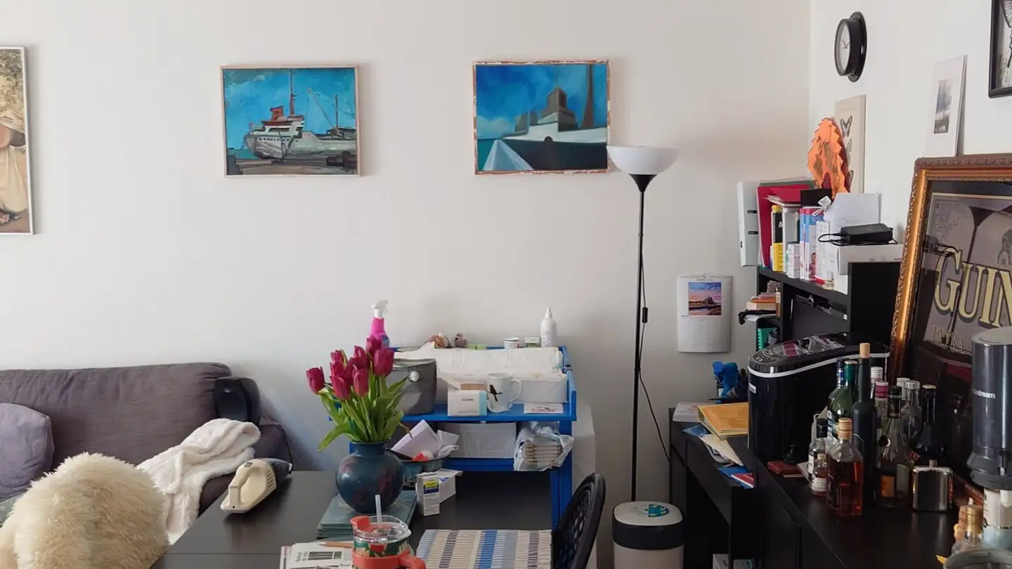 Appartamento in affitto - Route Du Lac 9, 1094 Paudex - Foto 4