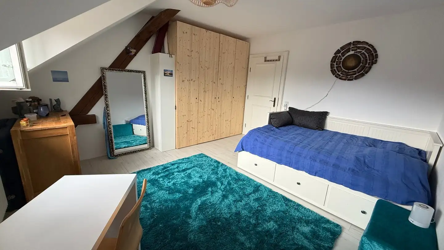 Single room for rent - Dorfstrasse 28, 8247 Flurlingen