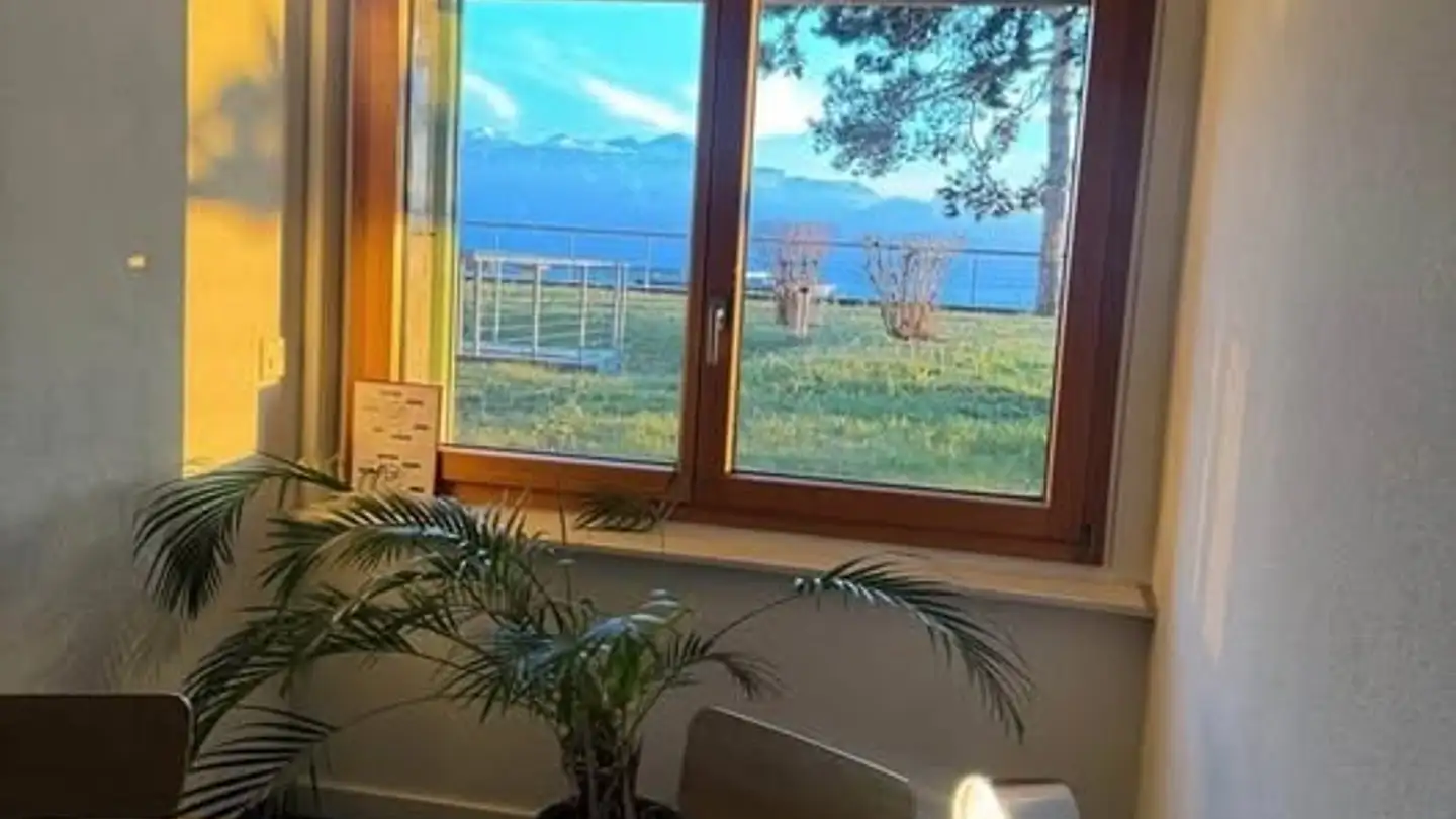 Commercial à louer - Avenue Du Léman 30, 1005 Lausanne - Photo 3