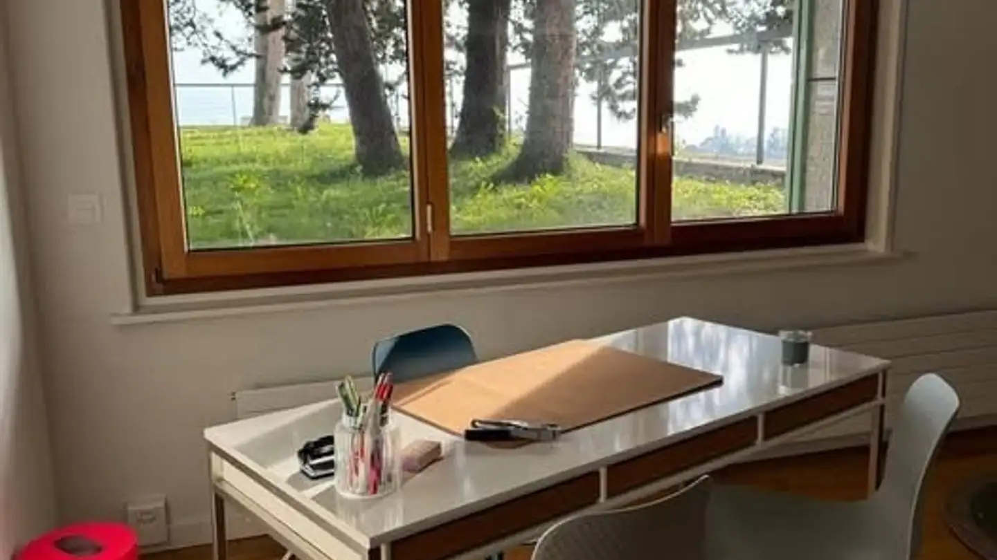 Commercial à louer - Avenue Du Léman 30, 1005 Lausanne