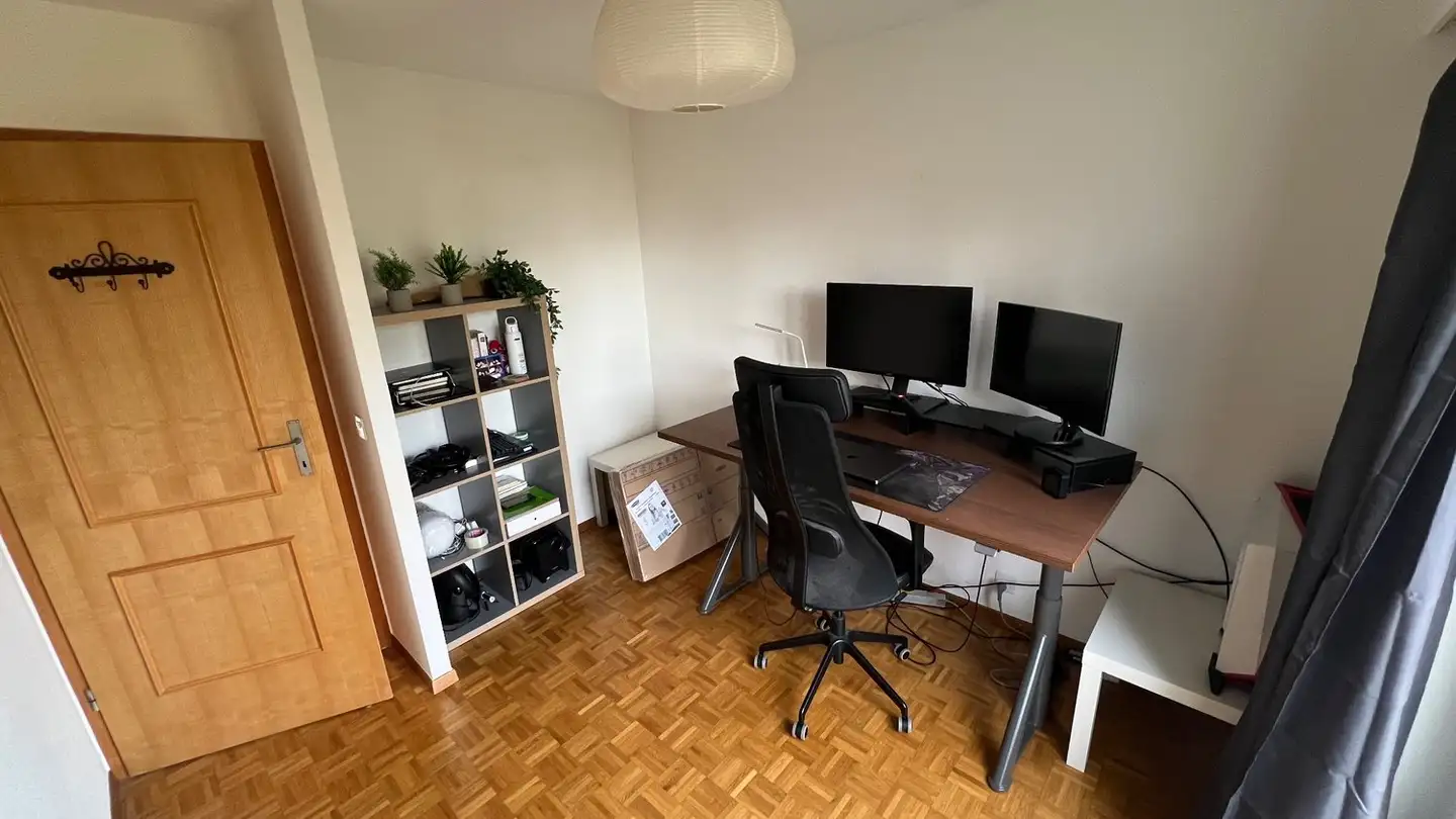 Appartamento in affitto - Chemin De La Pierrière 16, 1292 Chambésy - Foto 3