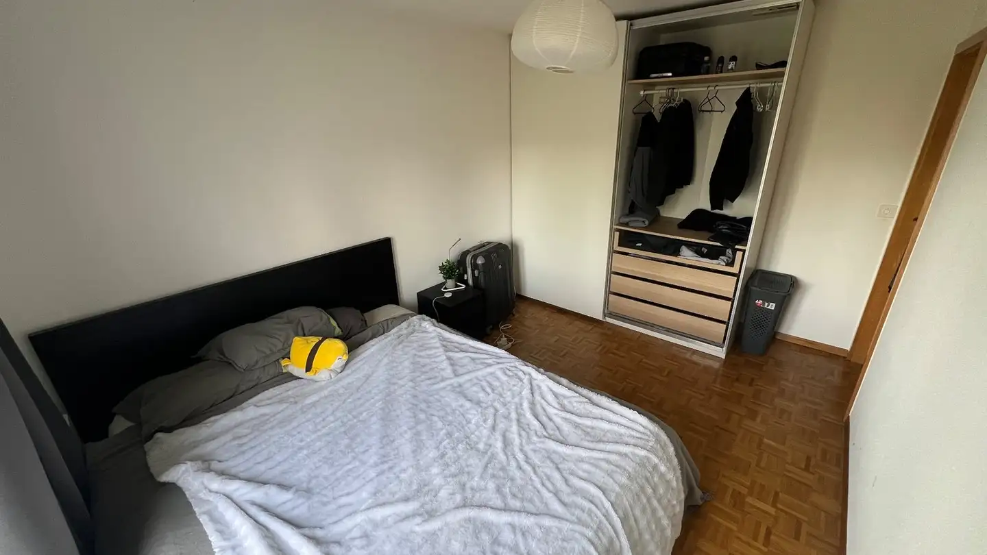 Appartamento in affitto - Chemin De La Pierrière 16, 1292 Chambésy - Foto 4