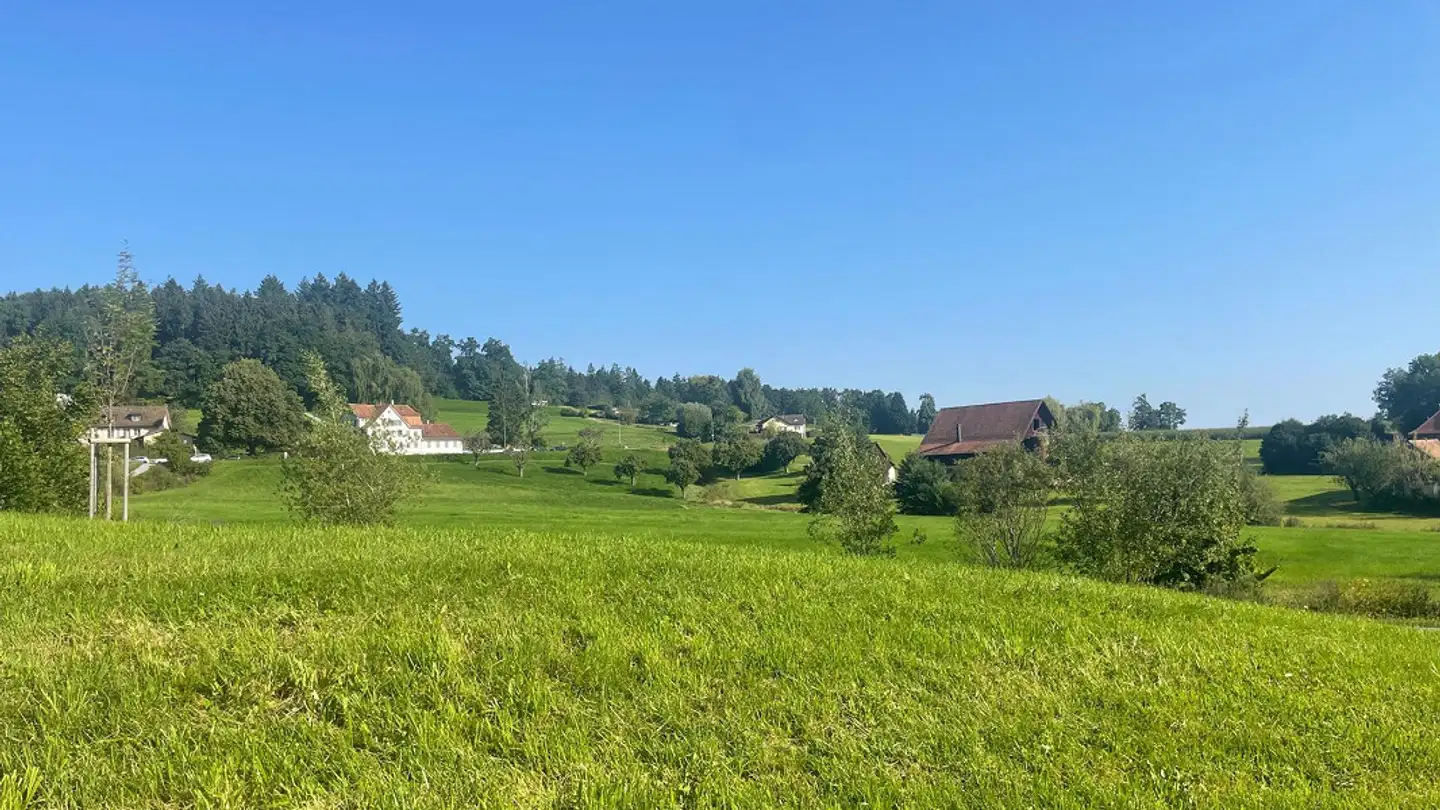 Commerciale in affitto - Rorschacher Strasse 297, 9016 St. Gallen - Foto 4