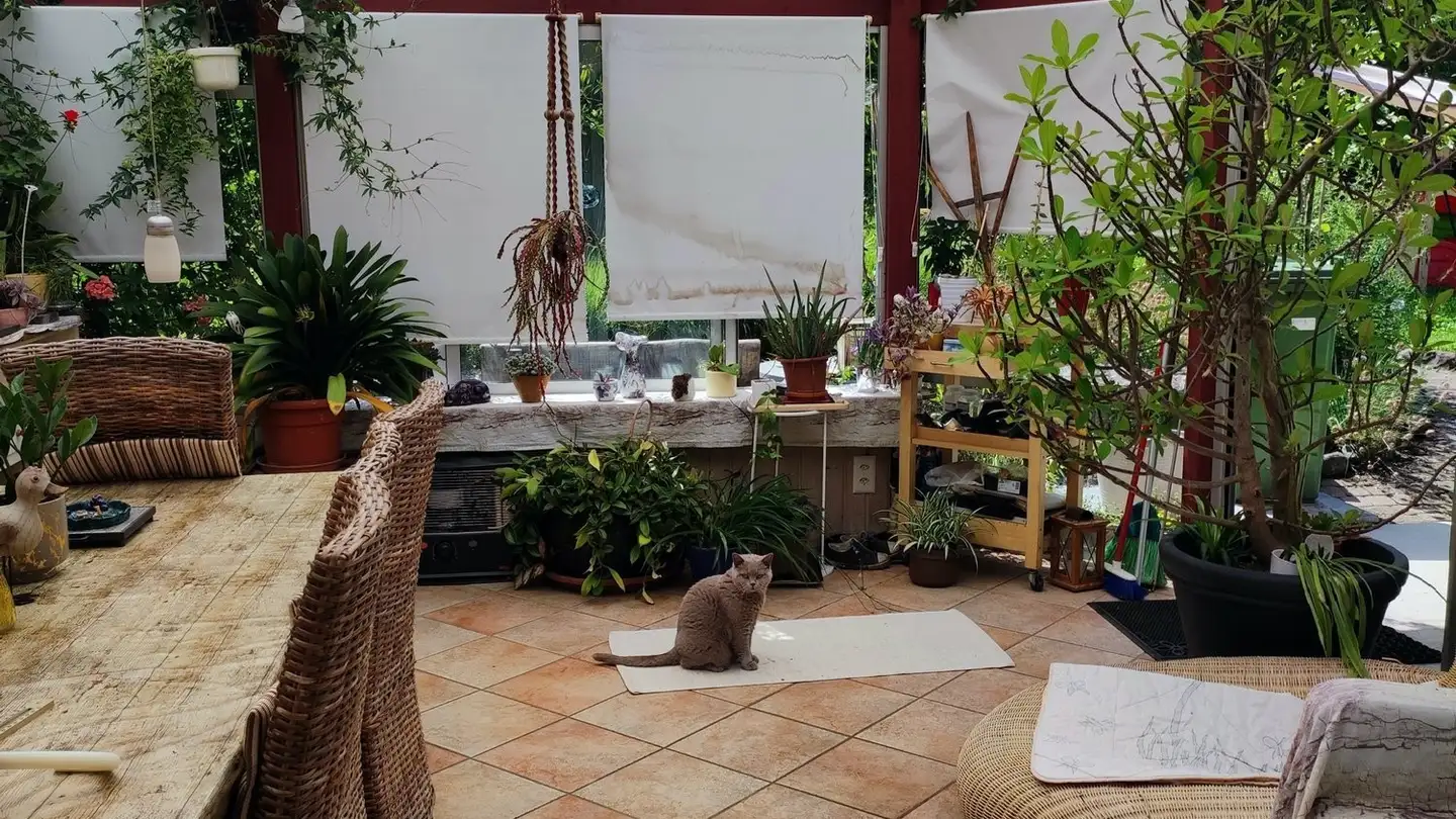 Stanza singola in affitto - Underbach 2, 8494 Bauma - Photo 4