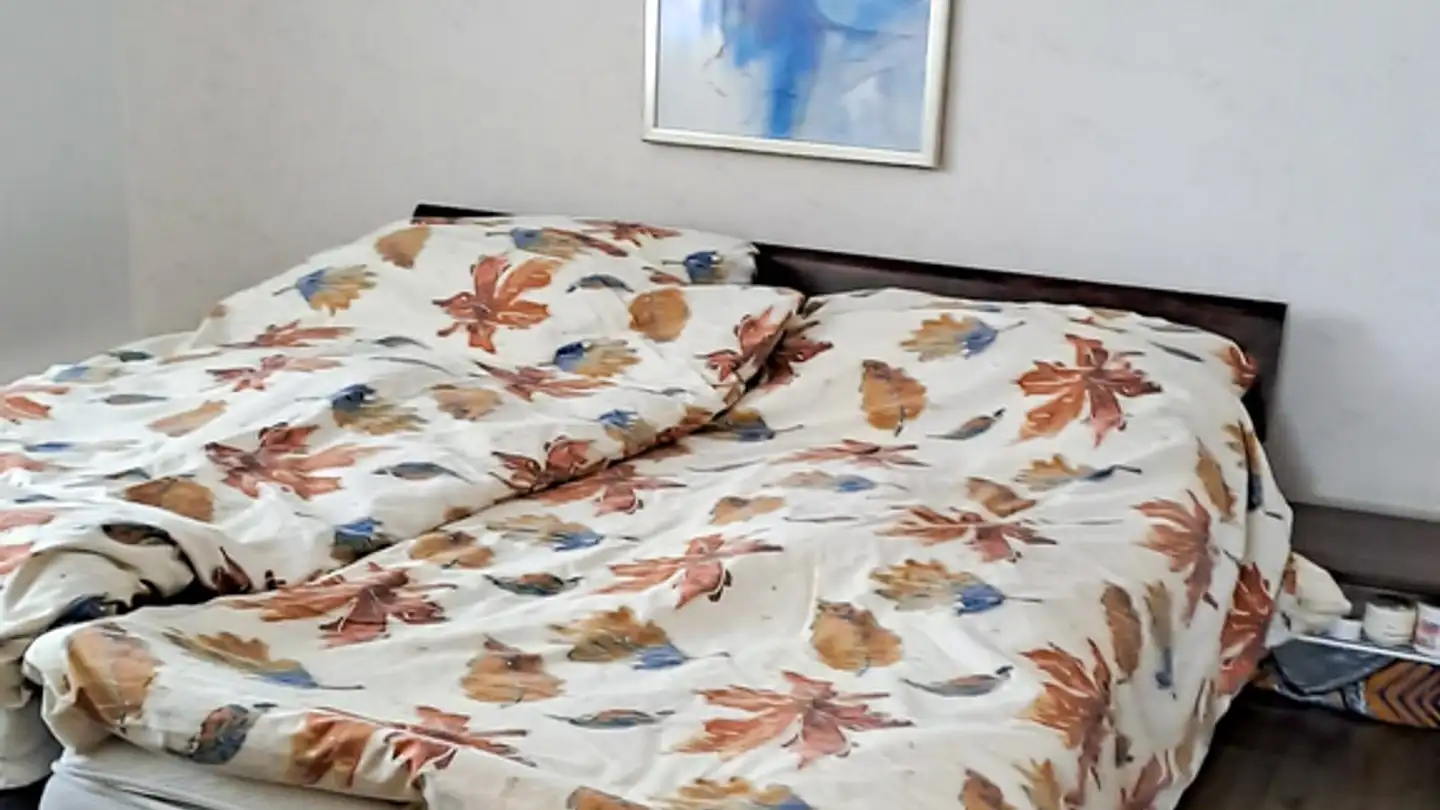 Apartment for rent - Via Cavardiras 4, 7180 Disentis/Mustér - Photo 4