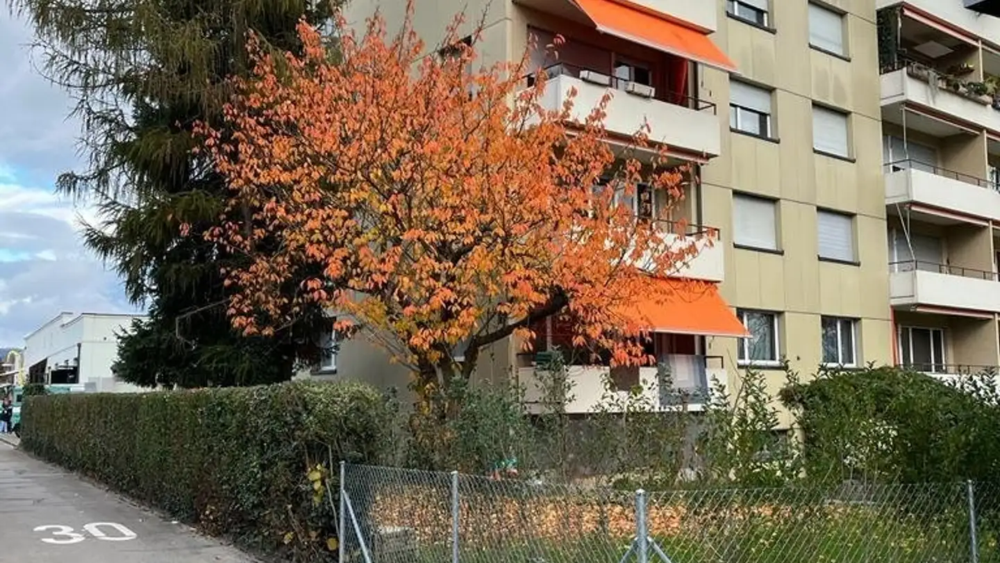 Appartement à louer - Buchsackerstrasse 19, 8953 Dietikon
