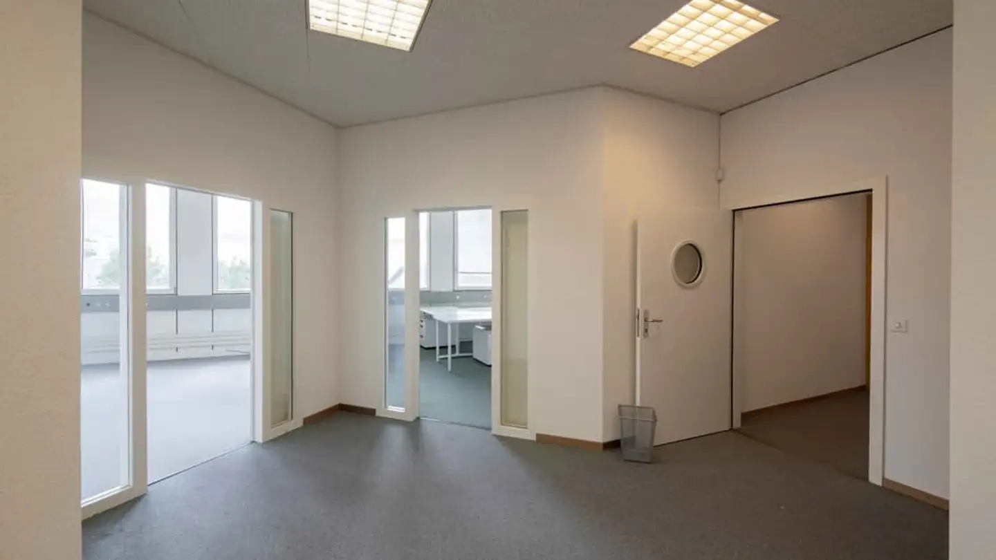 Gewerbe mieten - Chemin Des Aulx 18, 1228 Plan-les-Ouates