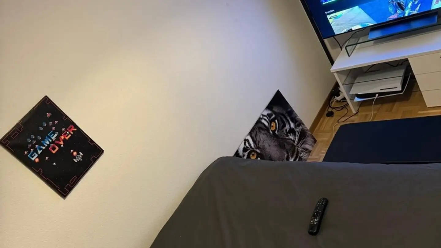 Appartement à louer - Route De Beaumont 14, 1700 Fribourg