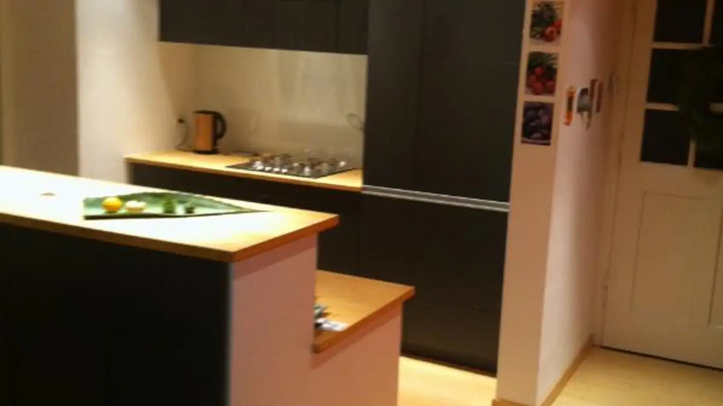 Duplex for rent - Untere Hardegg, 4600 Olten - Photo 3