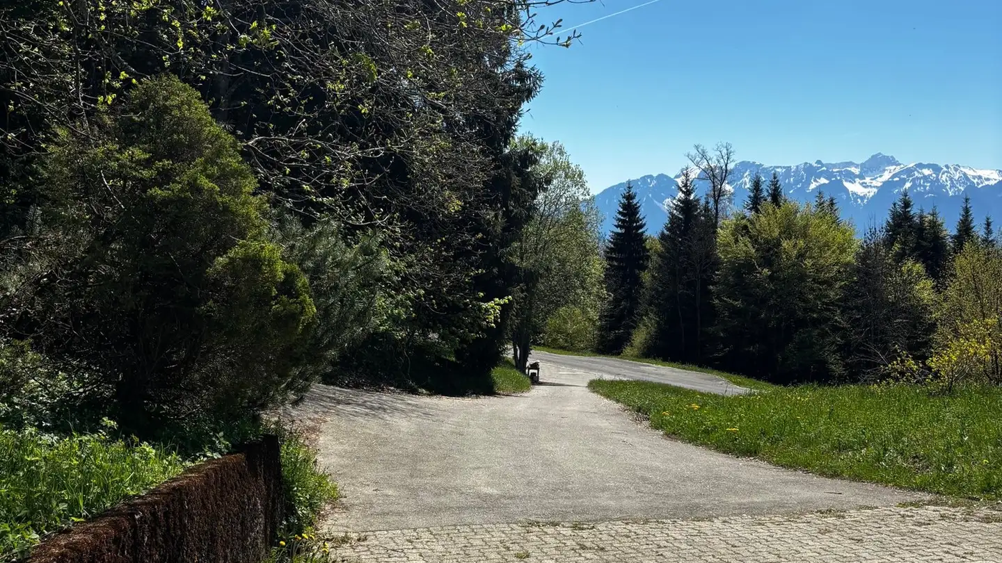 Single house for rent - 1801 Le Mont-Pèlerin - Photo 3