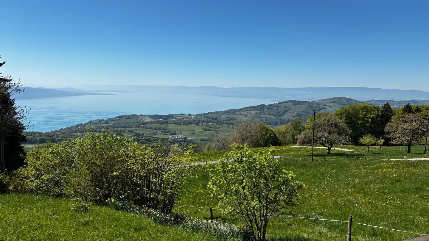 Single house for rent - 1801 Le Mont-Pèlerin - Photo 4