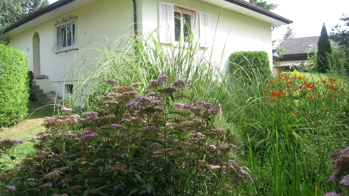 Single house for rent - Chemin Du Lac 10, 1291 Commugny