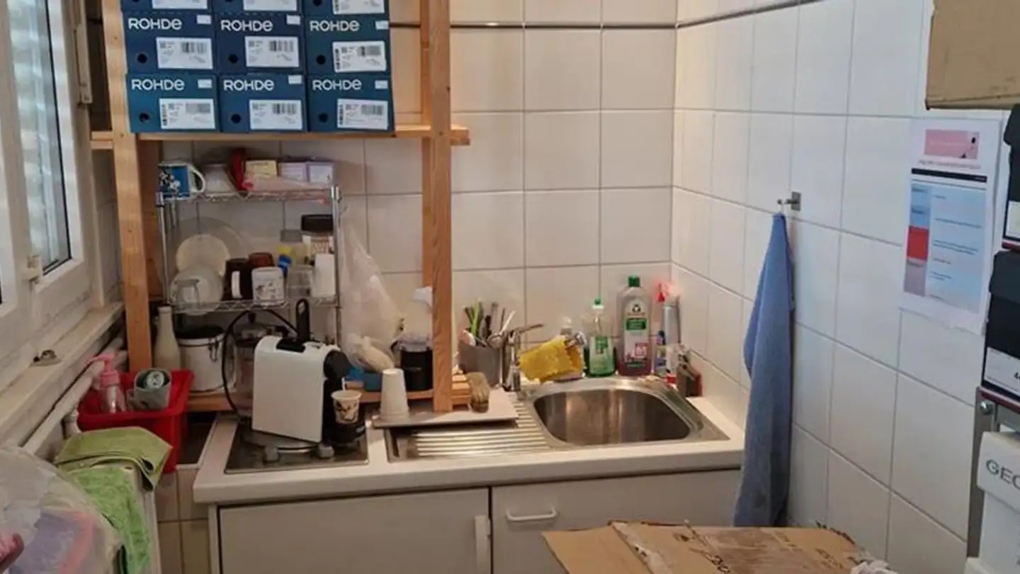 Mischgenutztes Gebäude mieten - Avenue Des Alpes 51, 1820 Montreux