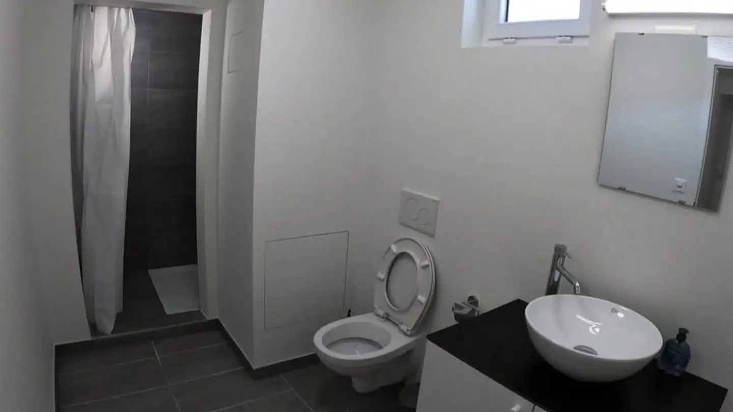 Chambre à louer - Chemin De La Colice 22, 1023 Crissier - Photo 2